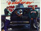 2 Live Crew - 2 Live Is What We Are COVER ONLY - Luke Skyywalker Autograph