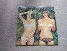 Roxy Music Country Life 12