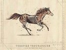 Turnpike Troubadours A Long Way from Your Heart (Vinyl) 12