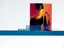 David Sylvian & Robert Fripp / The First Day 12