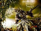 Children of Bodom Relentless, reckless forever (Vinyl) 12