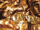 Cranes Forever (Vinyl) 12