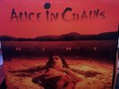 Alice in Chains 