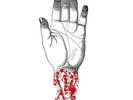 Converge - You Fail Me - Redux LP - vinyl NEW