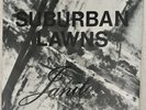 SUBURBAN LAWNS - JANITOR/PROTECTION 7” 45 RPM EXCELLENT CONDITION RARE