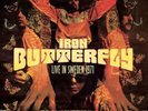 Iron Butterfly Live in Sweden 1971 (Vinyl) 12
