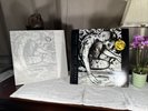 FISH LP SONGS FROM THE MIRROR Polydor UK 1993 + INNER SLEEVE Rare EXCELLENTvinyl