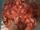 Carcass ‎- Symphonies Of Sickness  (Picture Disc, Limited Edition,MOSH18P )