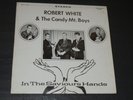 Robert White & The Candy Mt. Boys In The Saviours Hands Christian Gospel Xian