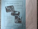 Flamin Groovies - Live at the Roxy   (Wizardo Records)