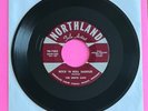 The White Caps - 45RPM- Rock 'n Roll Saddles, Why'd You Leave Me -Northland-1957