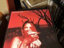 Widespread Panic - Everyday [2LP] Limited Translucent Red & Grey Colored Vinyl