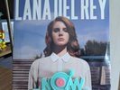 Lana Del Rey Born to die (Vinyl) - Brand new and Sealed