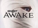 Awake by Skillet (Vinyl Record LP, 2009)