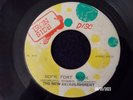 THE NEW ESTABLISHMENT  - ROCK FORT ROCK   (REGGAE)  45