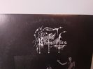 PROFANATICA AS TEARS OF BLOOD STAIN 7