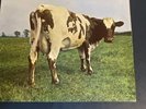 Pink Floyd Atom Heart Mother 1st press no EMI box and A-1G B-1G codes