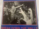 Youth Of Today Break Down The Walls  First Pressing Wishingwell Records WW4 1986