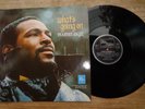 MARVIN GAYE 