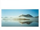 FLYING SAUCER ATTACK CHORUS NEW LP