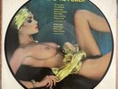 Metallica - No Life Til Power  Picture Disc LP 12” Record Cheesecake