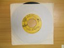 The Beach Boys - Salt Lake City / Amusement Parks U.S.A.