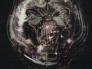 Motörhead World Is Yours (Vinyl) (US IMPORT)