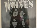 COMPANY OF WOLVES Company Of Wolves 1990 LP GLAM/HAIR METAL HARD ROCK RARE VINYL