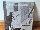 1977 BERMUDA TRIANGLE Folk/Psych/Prog Original PRIVATE LABEL Roger & Wendy