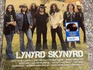 Lynyrd Skynyrd Icon - 2LP Root Beer Brown Vinyl - New & Sealed