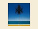 Metronomy - The English Riviera - Vinyl - Same Day Dispatch