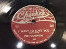 FLAMINGOS-CHECKER 821-I WANT TO LOVE YOU/PLEASE COME BACK HOME-CHICAGO DOO-WOP