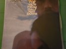 Andy Bell (RIDE, OASIS) The View From Halfway Down SIGNED (Record) NEW RARE