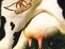 Aerosmith Get A Grip - LP 33T x 2