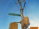 The Montrose Avenue : Thirty Days Out VINYL 12
