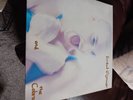 sinead o'connor the lion and the cobra vinyl