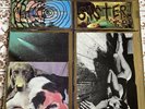 Sonic Youth - Sister LP (Blast First BFFP20) Original 1987 Pressing