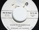 R&B 45 SCREAMIN' JAY HAWKINS Please Try To Understand APOLLO VG++ PROMO HEAR