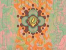 The Grateful Dead - RFK Stadium, Washington, DC 6/10/73 [Box Set] NEW Vinyl