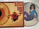 KATE BUSH Original UK ‘Remember Yourself', 'The Kick Inside’ Picture Disc MINT
