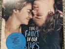 The Fault In Our Stars Vinyl Soundtrack
