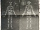 Daft Punk **Robot Design Schematic Posters** from Random Access Memories Box Set