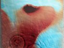Pink Floyd - Meddle (2016 Remaster - Vinyl gebraucht)