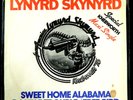 LYNYRD SKYNYRD   7