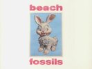 BEACH FOSSILS - Bunny - Vinyl (LP)