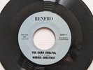 MORRIS CHESTNUT - TOO DARN SOULFUL - RENFRO