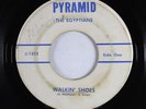 Garage 45 - Egyptians - Walkin' Shoes - Pyramid - unknown?