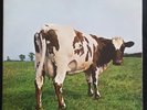 PINK FLOYD: Atom Heart Mother UK 1970 SHVL 781 A-1G/B-1G First Press Stereo EX+