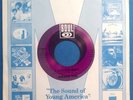 45 RPM FANTASTIC FOUR, I LOVE YOU MADLY / I LOVE YOU MADLY INSTRUMENTAL, NM