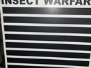 Insect Warfare Self Titled 12” S/S Colored Vinyl